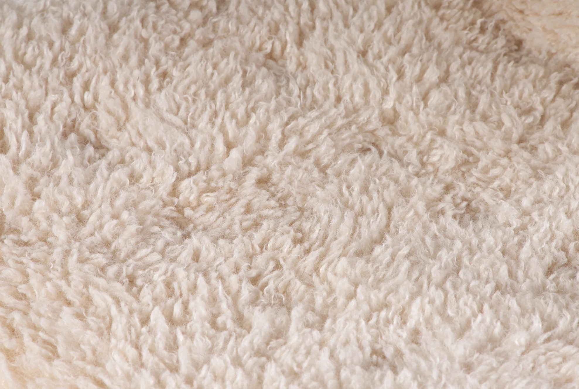 Palourde Lambswool Armchair - Image 12